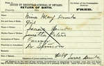 Nina Mary Denilne(?), Birth Registration. Daughter of Isaac Denilne and Jenetta Peters.