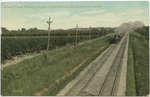 Grand Trunk Railway Double Track through the Garden of Canada