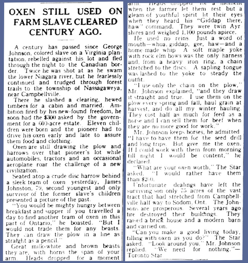 A newspaper article in the August 20th, 1931 issue of the Canadian Champion, published in Milton. Courtesy the Milton Public Library.