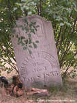 Gravestone of William Trench