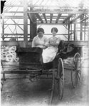 Two Women in a Buggy