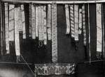Wampum Collection - Pitts River Museum, England - Taken by Horatio Hale, Anthropologist, 1871.