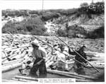 Breaking up the Log Jam, July 2nd, 1941
