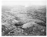 Aerial View, Forest Fire, circa 1948 (1/14)