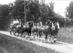 Clydesdale Horses on Fairview Farm c.1934