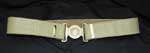 Green Canvas Belt with Gold Buckle