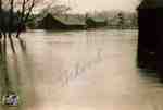 Flood of 1937