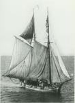 WELLS, D.A. (1874, Schooner)