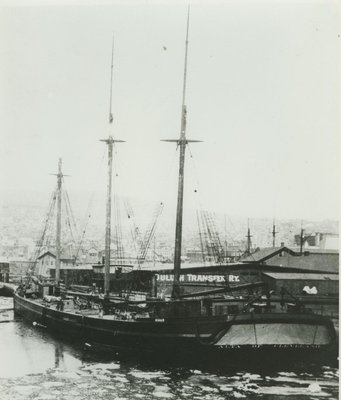 ALTA (1884, Schooner)