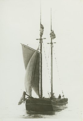 CORONET (1887, Scow Schooner)