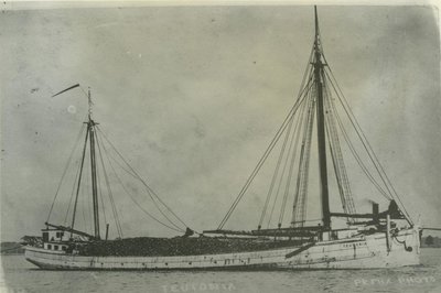 TEUTONIA (1881, Schooner)