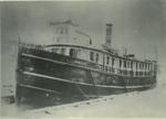 NELLIE (1885, Ferry)