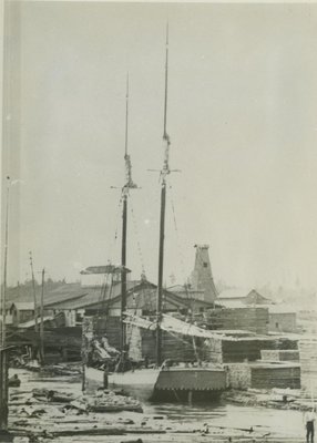 SEA BIRD (1881-82, Scow Schooner)