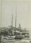 SEA BIRD (1881-82, Scow Schooner)