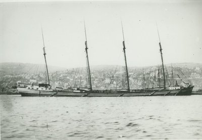 WILSON, MABEL (1886, Schooner)