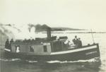 SHAMROCK (1905, Fish Tug)