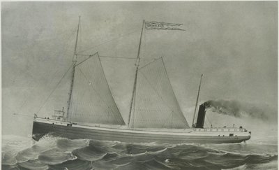 WILSON, D.M. (1873, Bulk Freighter)