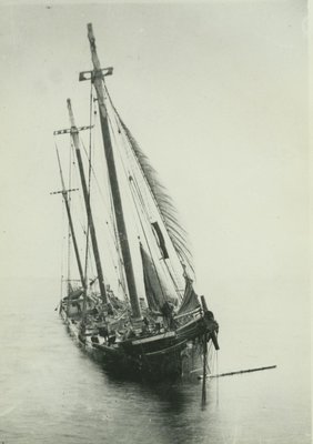 PFISTER  GUIDO (1873, Schooner)