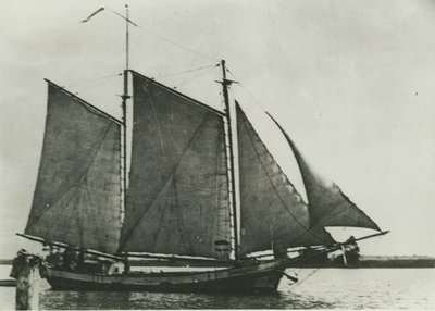 GOLD LEAF (1903, Schooner)