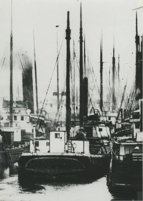 TOKIO (1889, Schooner-barge)