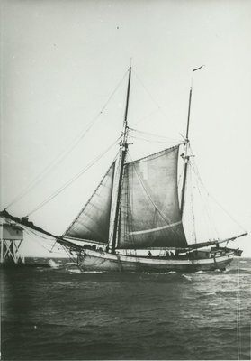 ULSTER (1874, Scow Schooner)