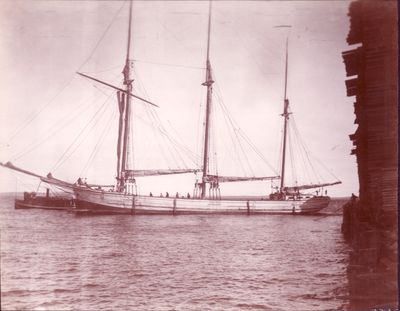 OLSON, IDA A. (1888, Schooner)