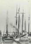 RED WING (1873, Schooner)