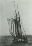 GARIBALDI (1869, Scow Schooner)