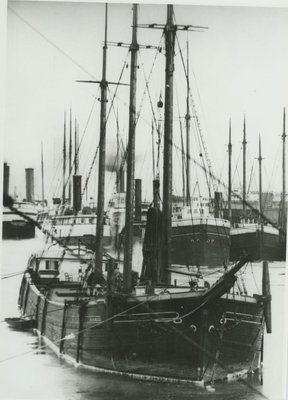 HARLEQUIN (c1856, Sloop)