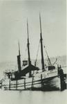 SUPERIOR (1873, Bulk Freighter)