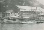 ROSE, FANNY M. (1893, Excursion Vessel)