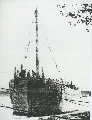 REID, CONRAD (1881, Schooner)