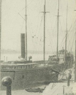 VIENNA (1873, Bulk Freighter)