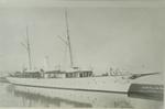 WADENA (1891, Yacht)