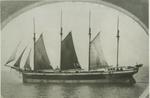 WALLACE, DAVID (1884, Schooner)