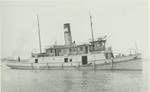 REGINALD (1894, Tug (Towboat))