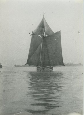 JENNIE (1891, Scow Schooner)