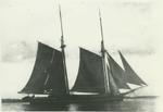 WHITE OAK (1867, Scow Schooner)