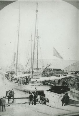 COUNTESS OF DUFFERIN (1876, Schooner)