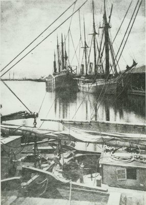 DAVIDSON, JAMES (1874, Bulk Freighter)