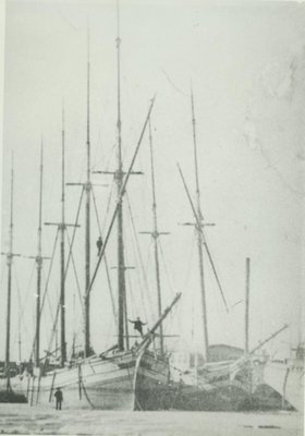 SARDINIA (1856, Schooner)