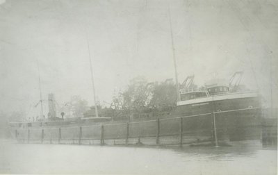 WESTERN RESERVE (1890, Bulk Freighter)