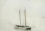 ELLEN (1896, Scow Schooner)