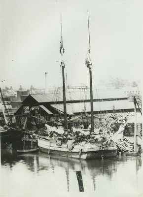 LAURINA (1872, Scow Schooner)