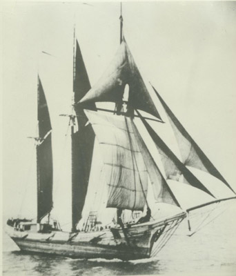 WYMAN, CHARLES E. (1882, Schooner)