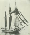 WYMAN, CHARLES E. (1882, Schooner)