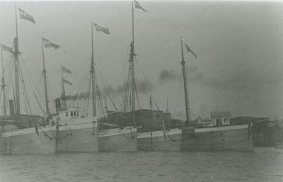 CORMORANT (1873, Bulk Freighter)