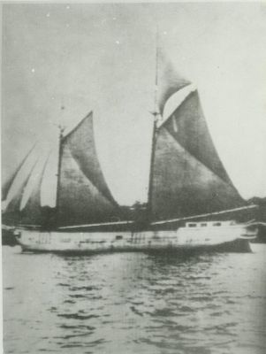 JAMISON, WM. (1878, Schooner)