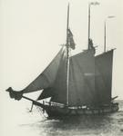 MACY, DAVID (1878, Schooner)