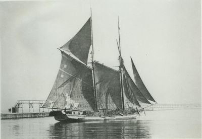 MADONNA (1871, Schooner)